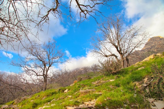 photo of Khuzestan Province Nature reserve near Ahvaz