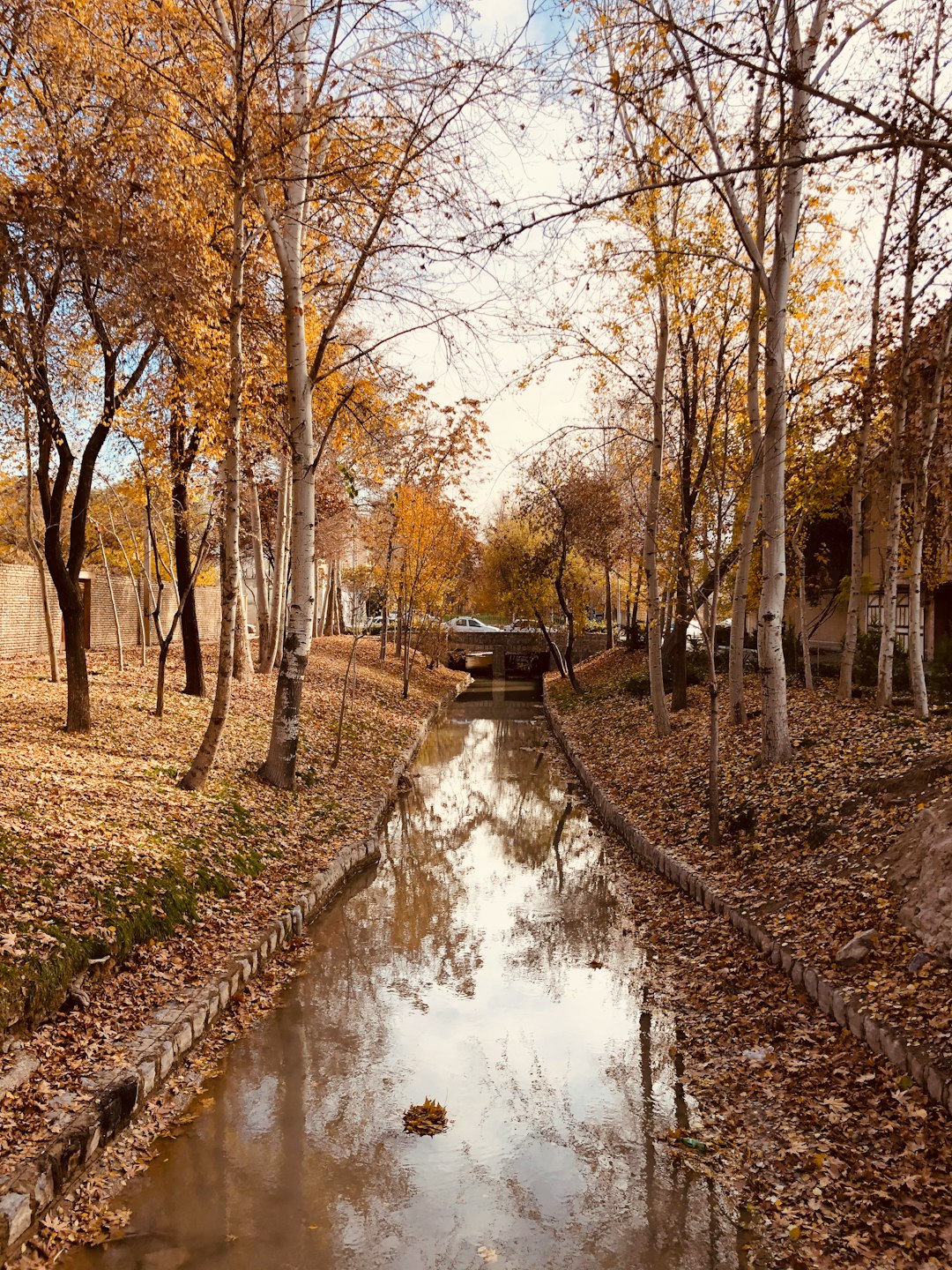 Waterway photo spot Isfahan Iran