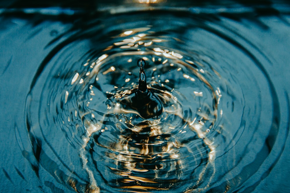 water drop in close up photography