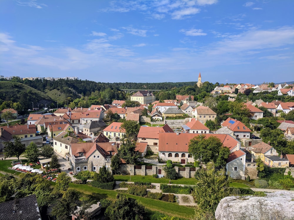 Braune und weiße Betonhäuser in der Nähe grüner Bäume unter blauem Himmel tagsüber