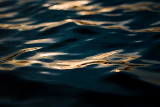 Soft glowing gold light waves over a deep navy backdrop, evoking calm and balance.
