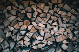 Close-up of neatly stacked premium firewood logs with rich textures.