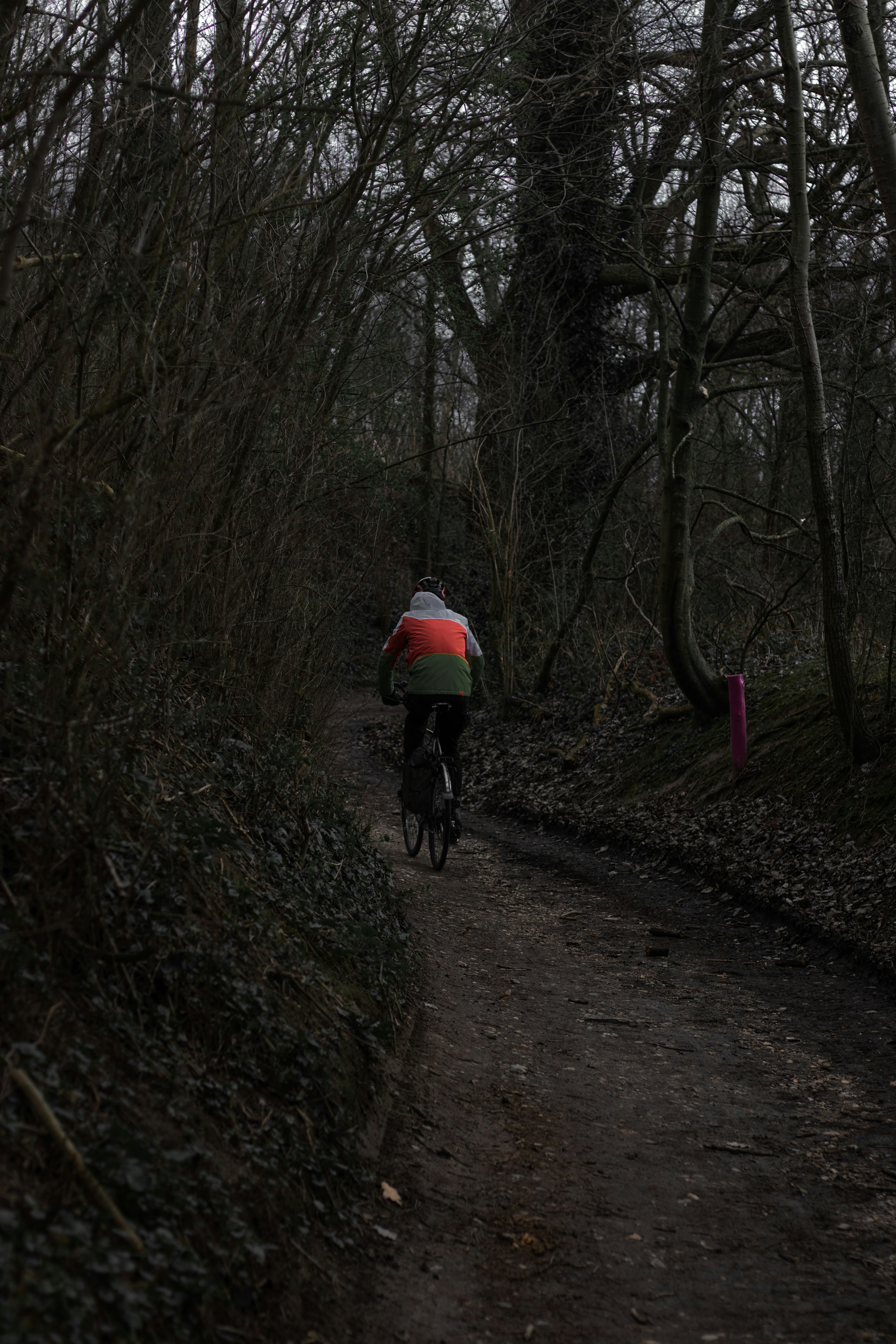 man in red jacket riding bicycle on dirt road between bare trees during daytime