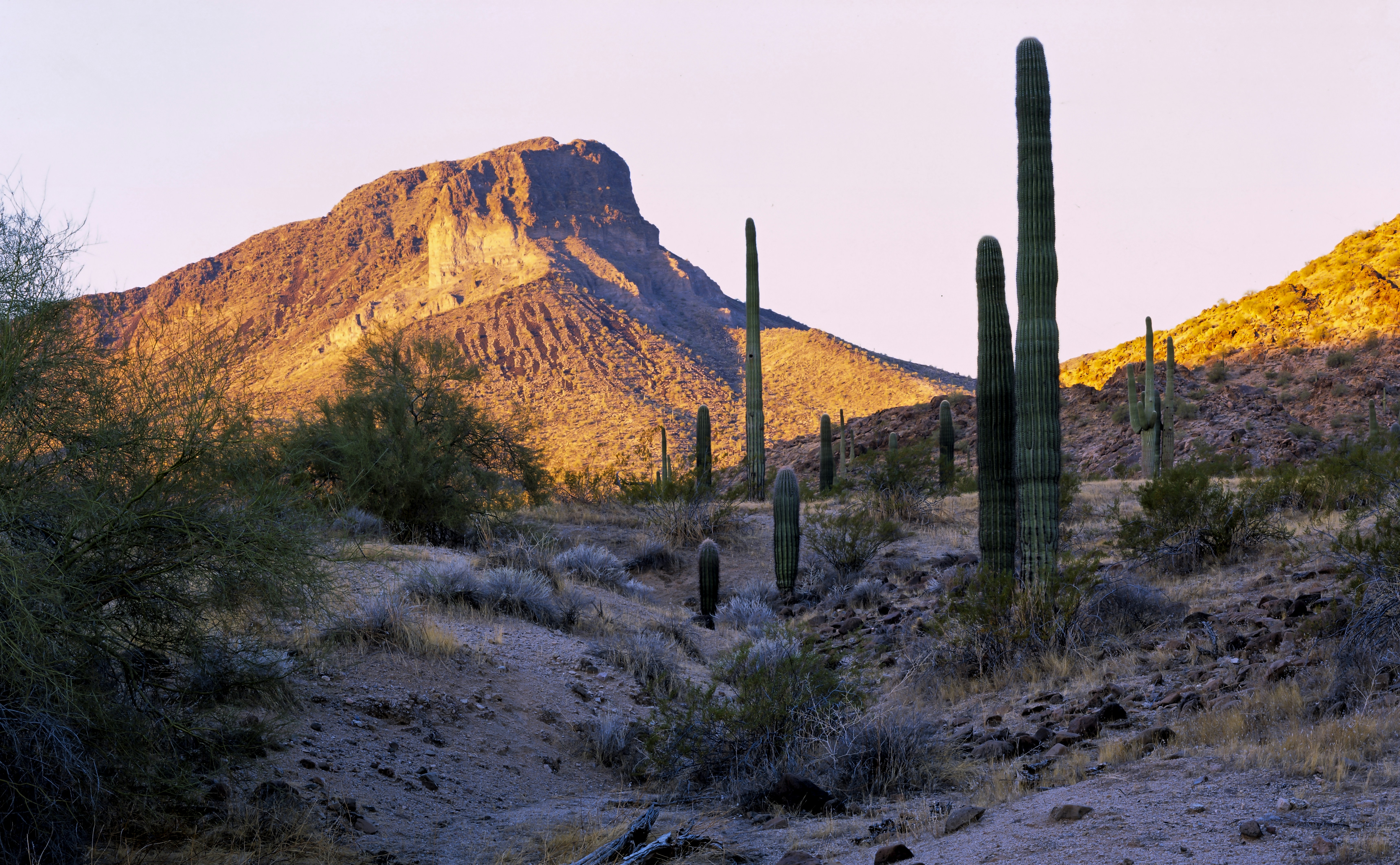 brown rock formation near brown mountain under white sky during daytime, A winter sunrise in the Woolsey Peak Wilderness Area.