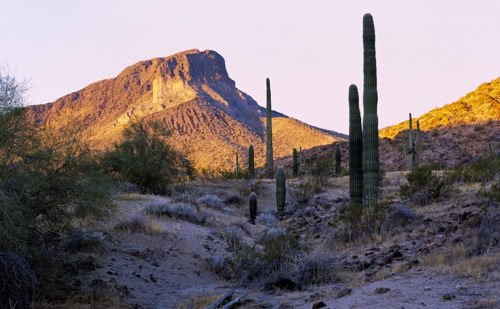 brown rock formation near brown mountain under white sky during daytime