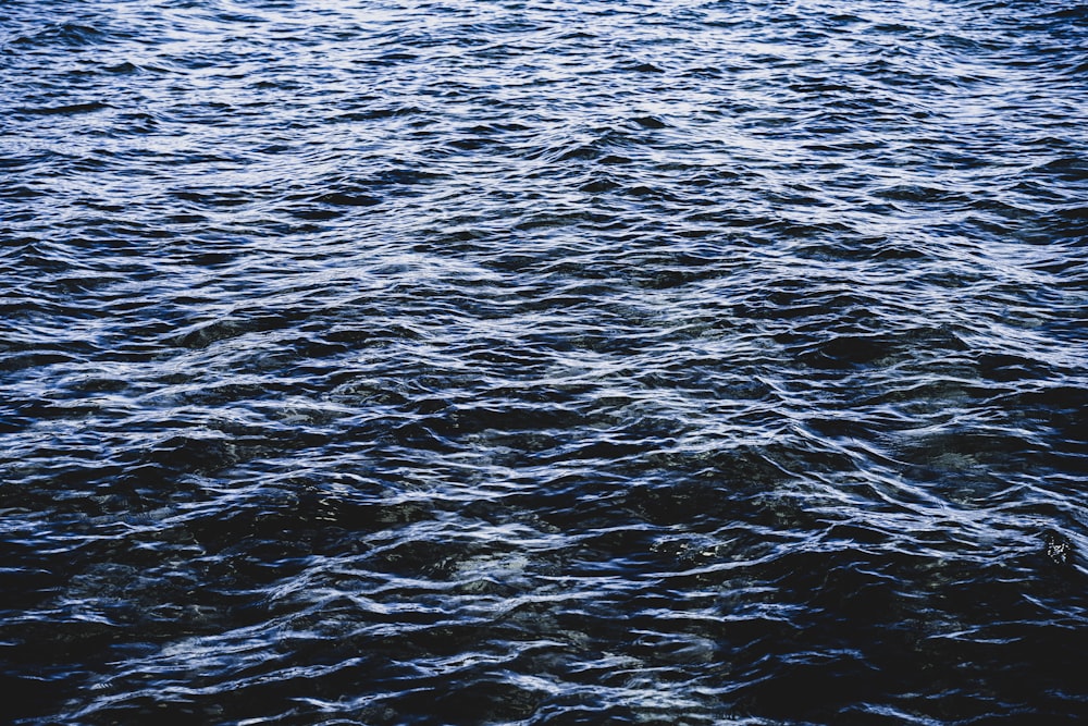 body of water during daytime