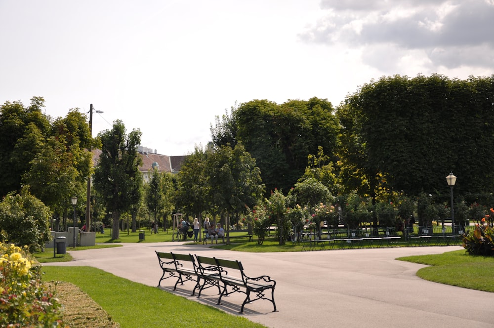 black metal bench on green grass field near green trees under white sky during daytime