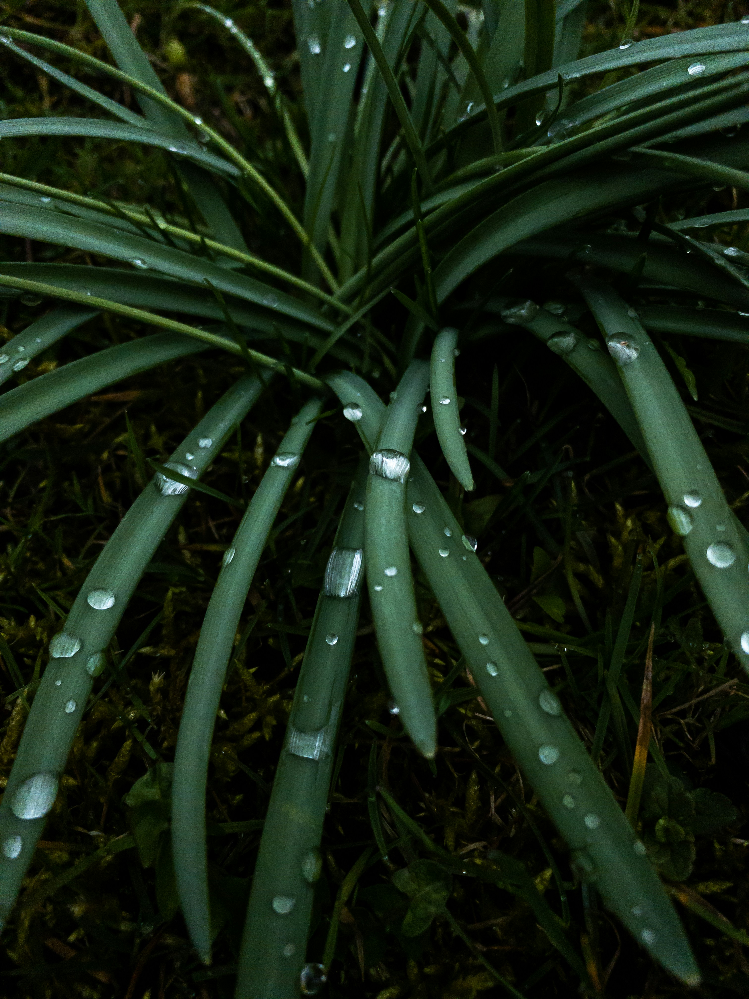 Photo by jakub_neskora