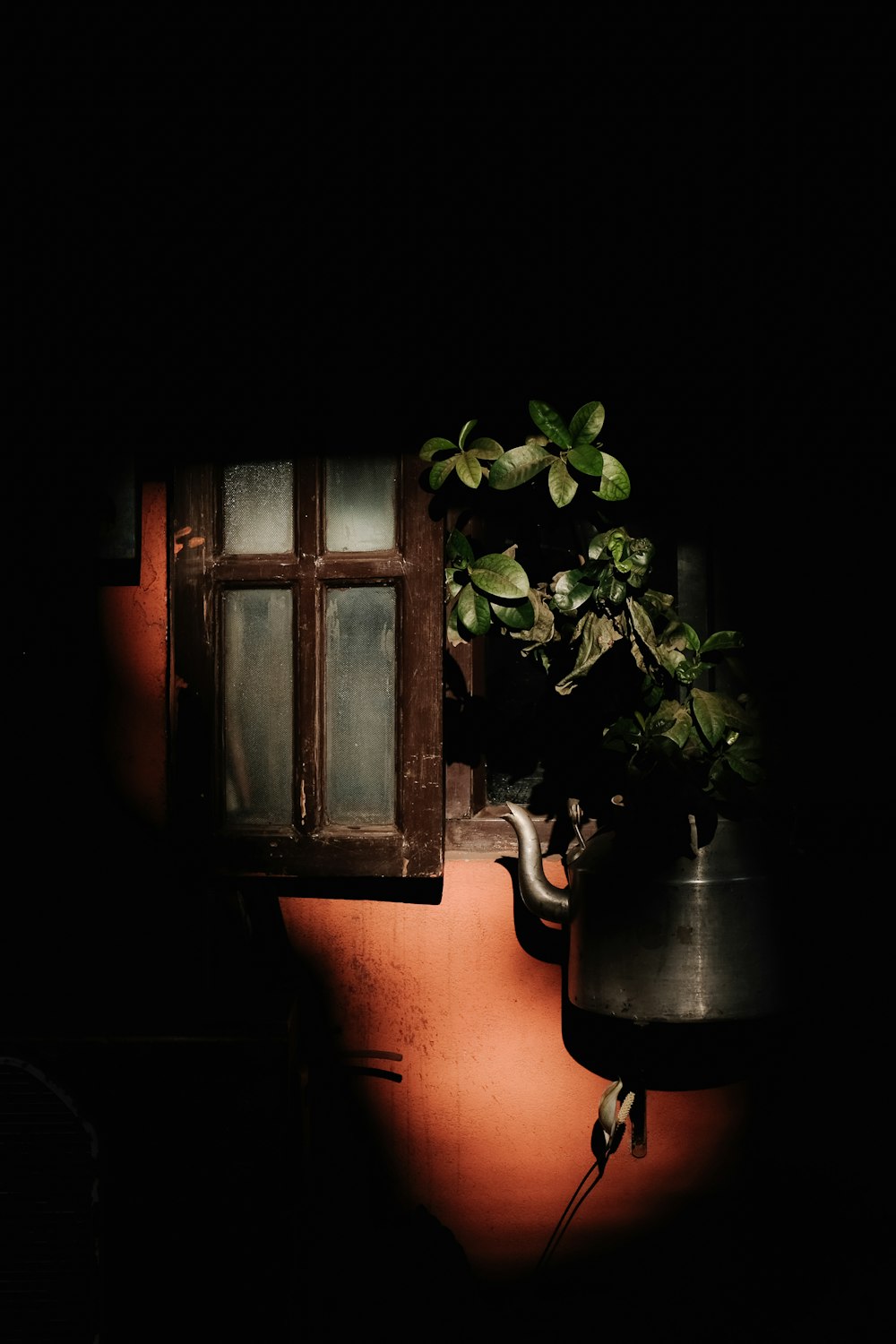 green plant on brown wooden window