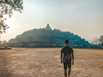 A solo traveler standing in awe before a majestic ancient temple in a global destination.