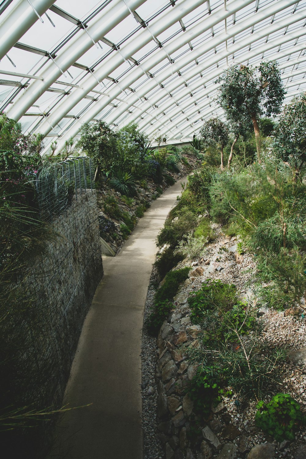 green plants on gray concrete pathway