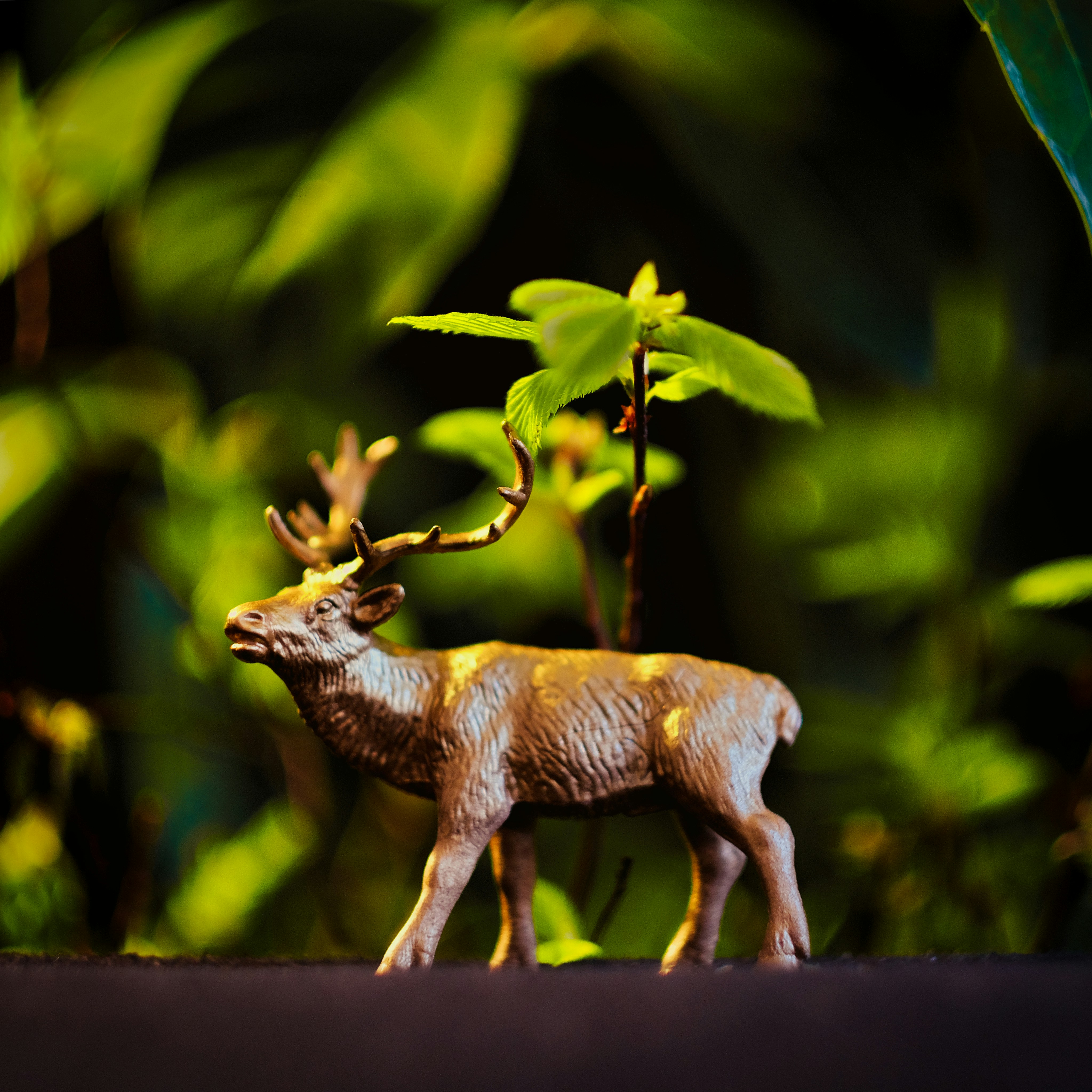 Photo by lennartschneider