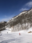 A sunny winter landscape featuring a snow-covered mountain and a ski slope with two skiers. The mountain is lined with bare trees and surrounded by a clear blue sky. One skier wears a bright red jacket, making them stand out against the snowy backdrop.