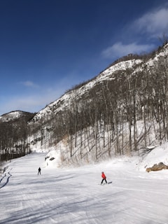 A scenic winter landscape showcasing skiers enjoying the slopes.