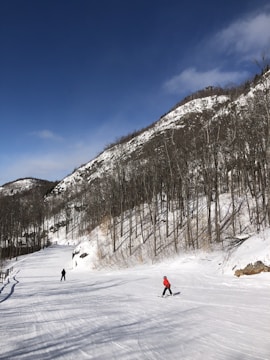 A sunny winter landscape featuring a snow-covered mountain and a ski slope with two skiers. The mountain is lined with bare trees and surrounded by a clear blue sky. One skier wears a bright red jacket, making them stand out against the snowy backdrop.