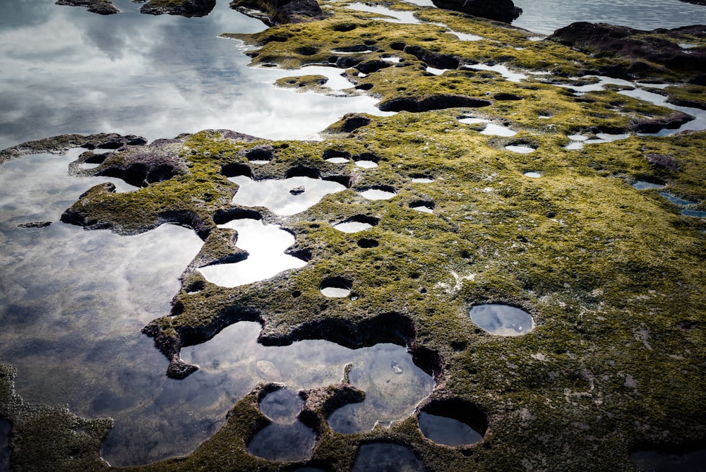 water on the river during daytime