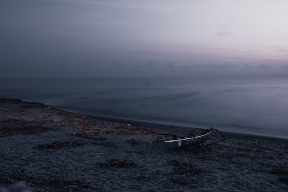 white boat on seashore during daytime