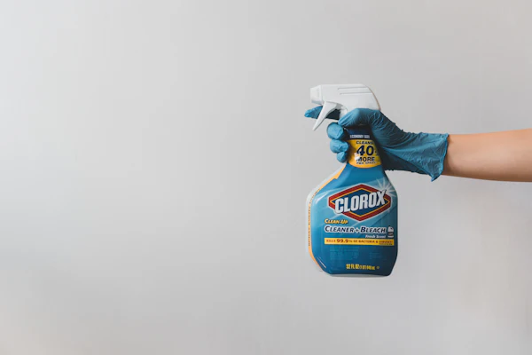 Clorox Disinfecting Bleach, 81 oz