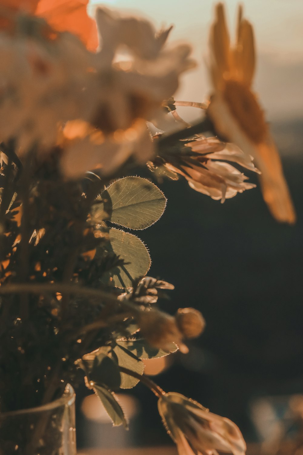 green leaves in tilt shift lens