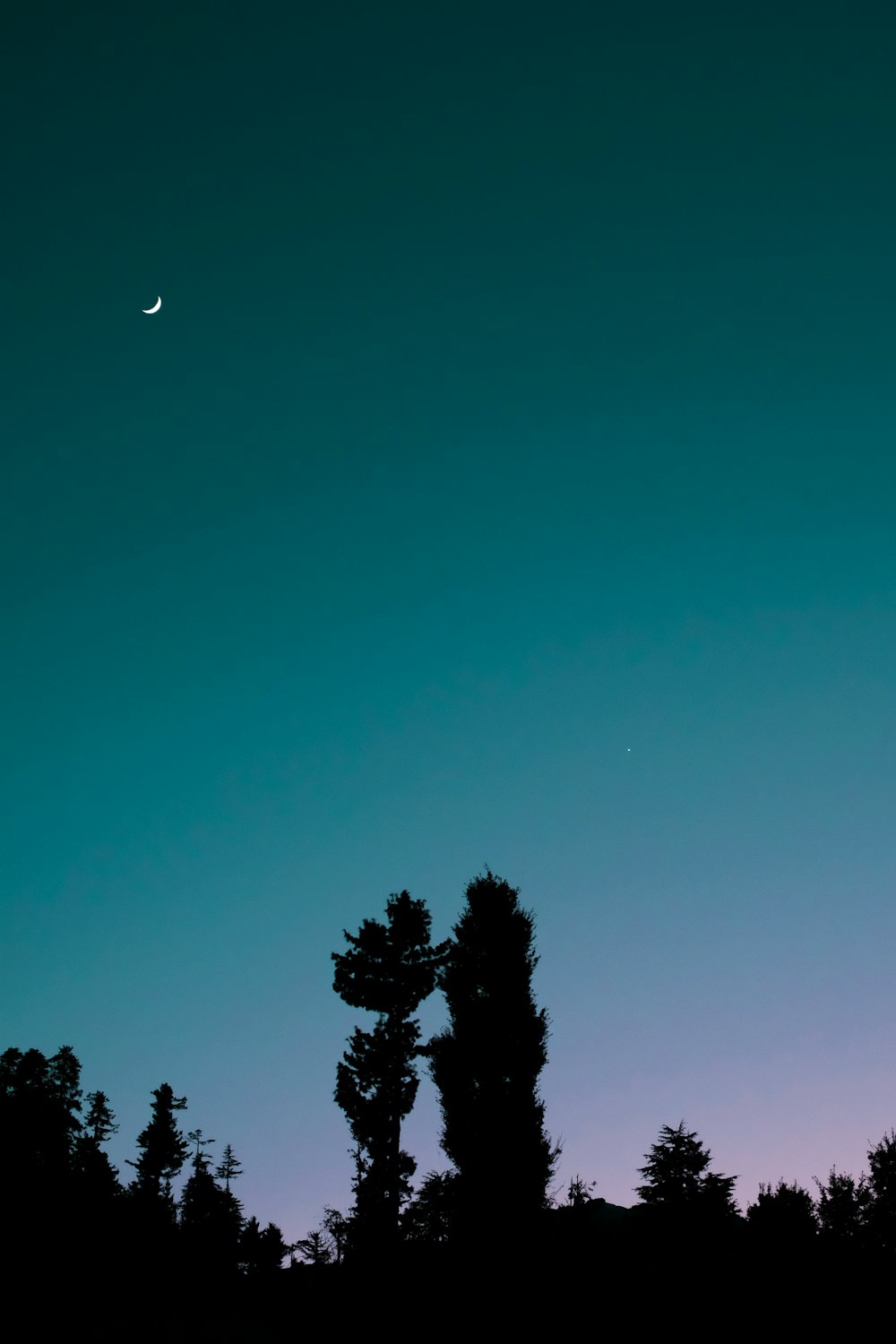 the moon is seen in the sky above trees