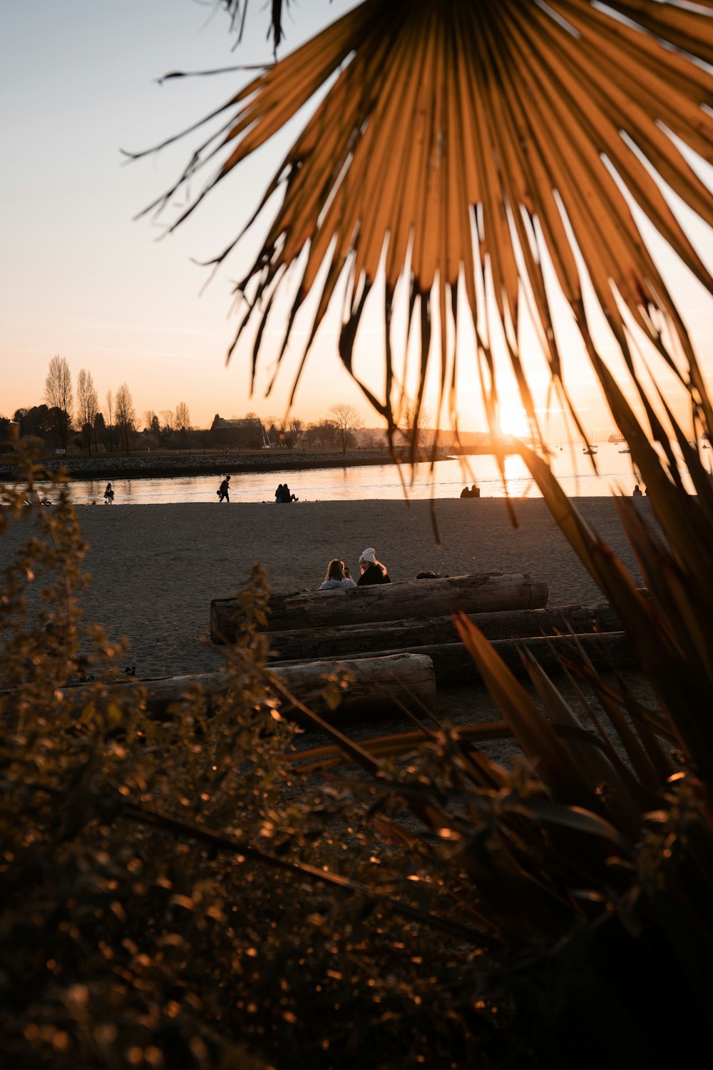 silhouette of people sitting on dock during sunset