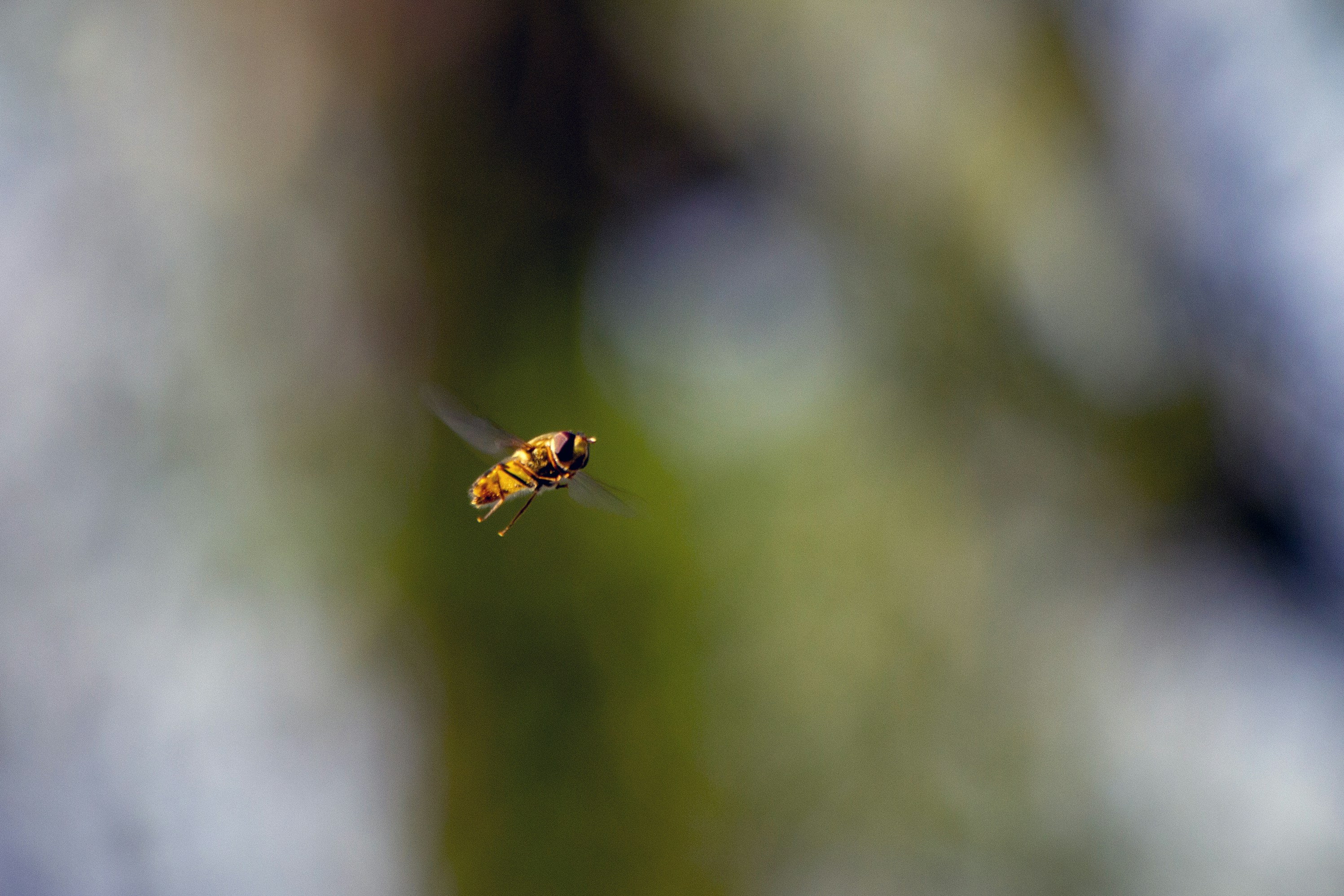 Photo by giacomocarra