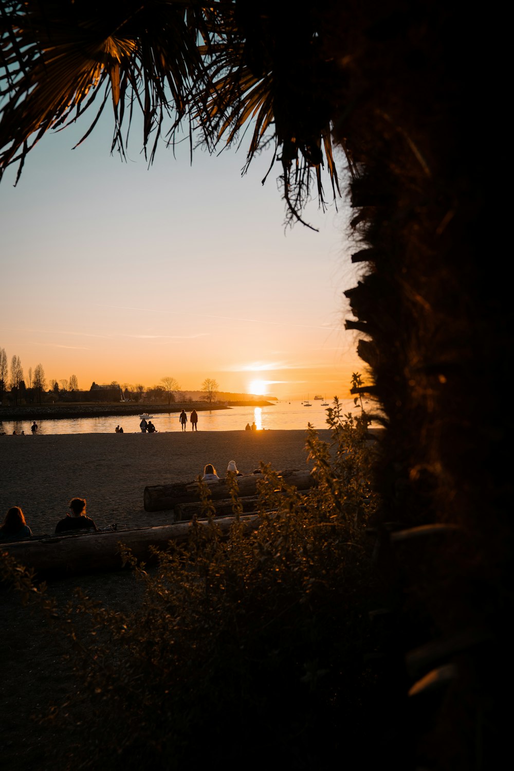 silhouette of people on beach during sunset