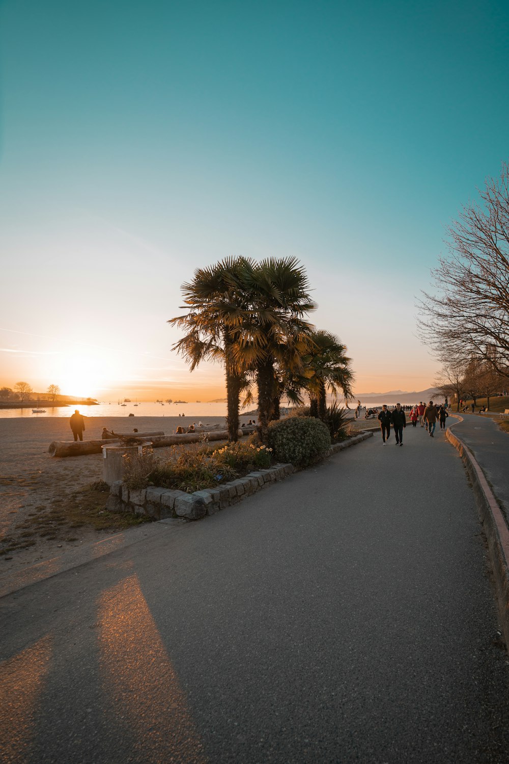 people walking on sidewalk near beach during sunset