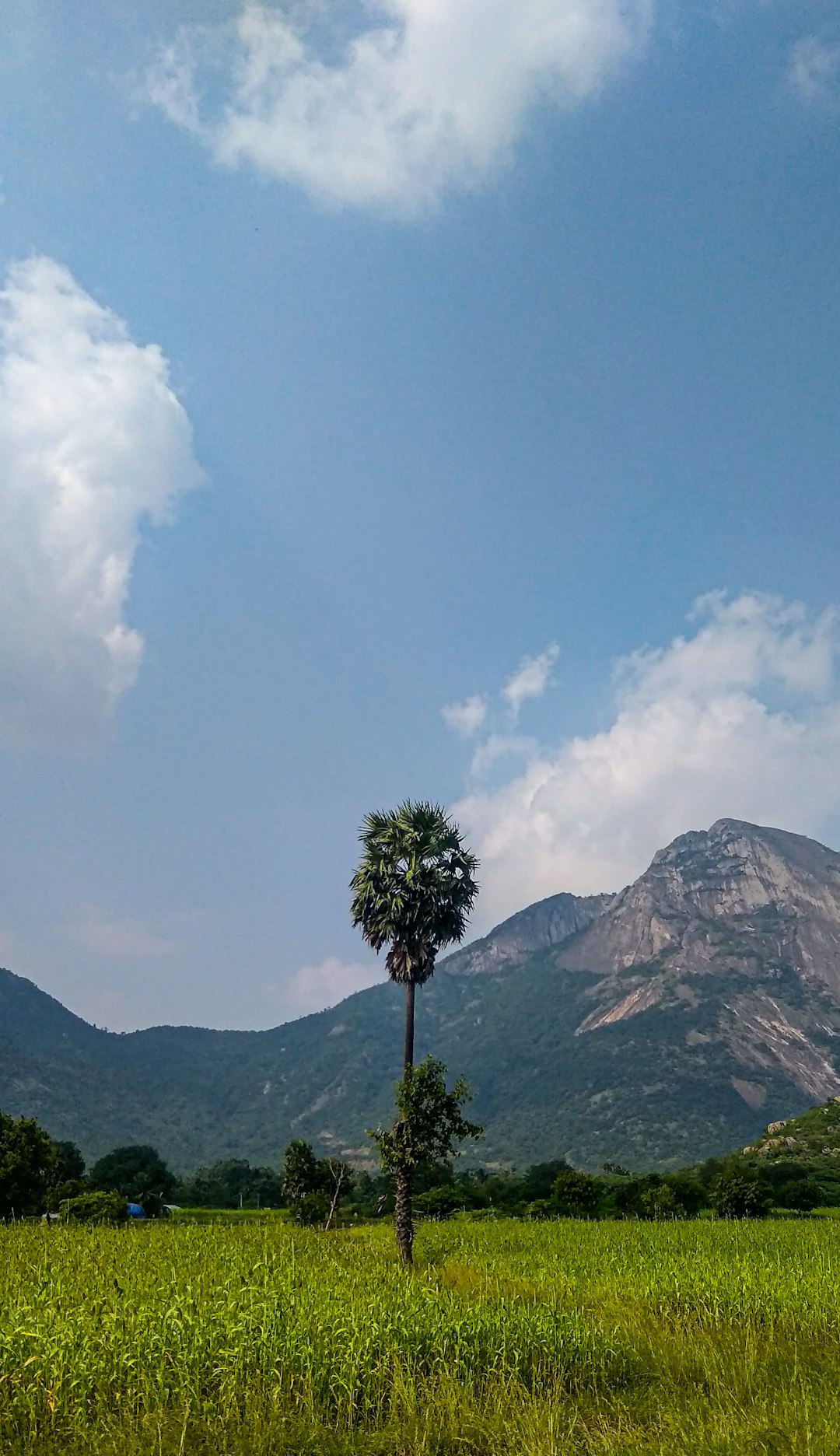 Mountain photo spot Madhya Pradesh India