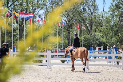 woman in black jacket riding brown horse during daytime