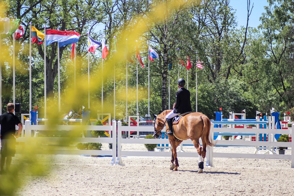 Femme en veste noire chevauchant un cheval brun pendant la journée