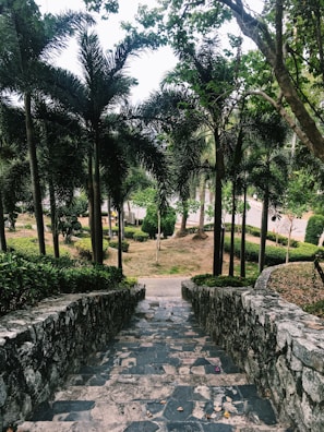 A beautifully manicured residential garden with desert-friendly plants and a stone pathway.