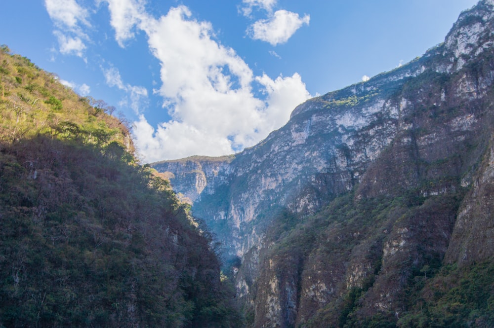 Grüne Bäume am Berg unter blauem Himmel tagsüber