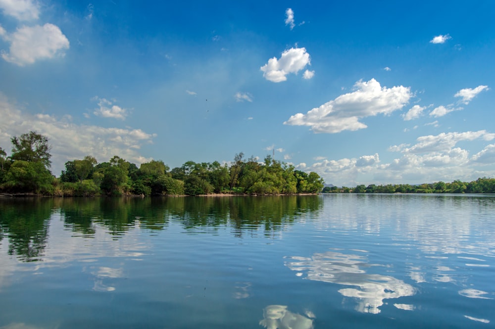 green trees beside body of water under blue sky during daytime