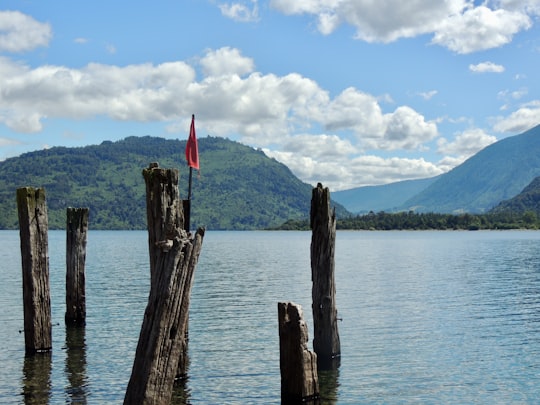 brown wooden post on body of water during daytime in Llifen Chile