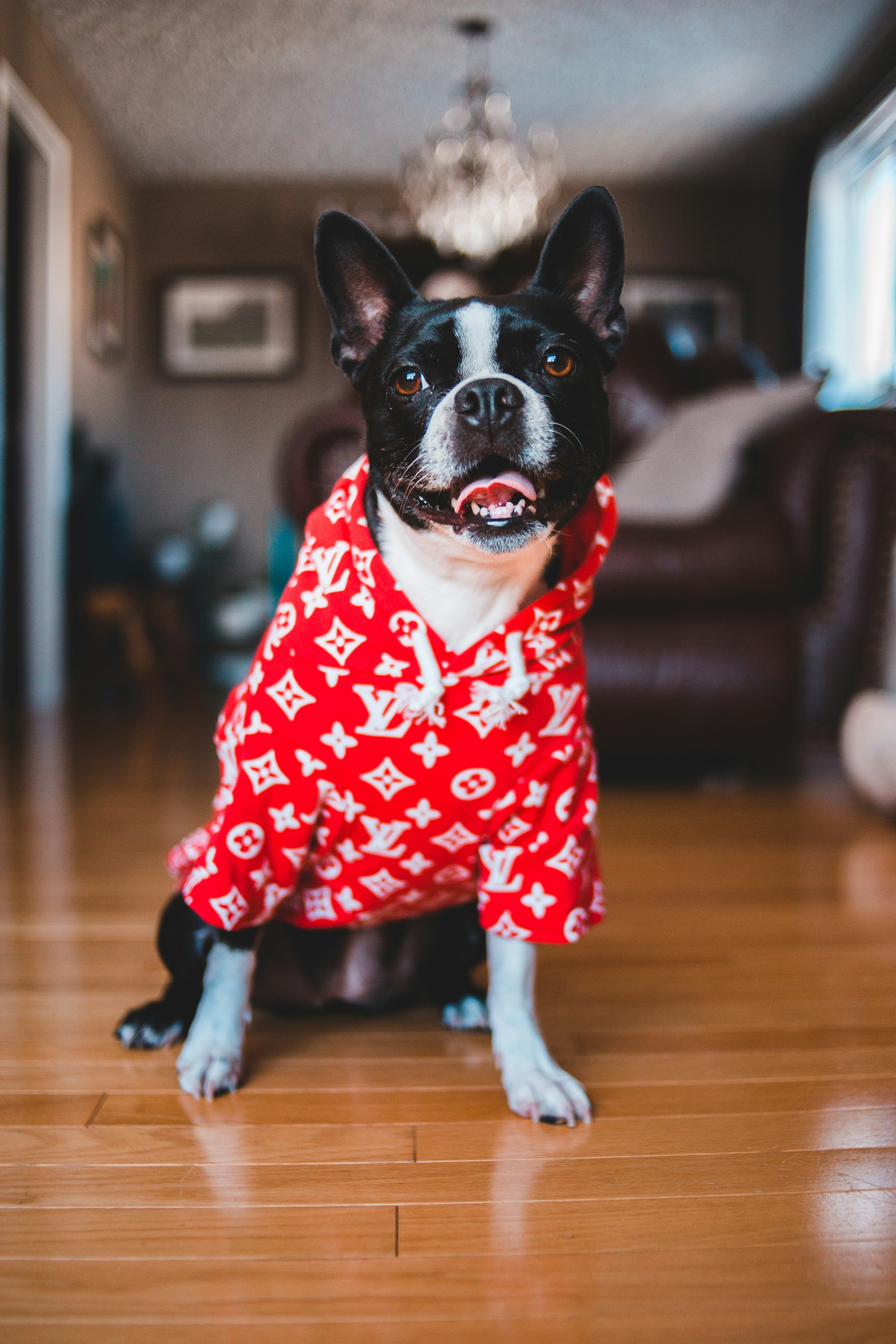 Photo by introspectivedsgn