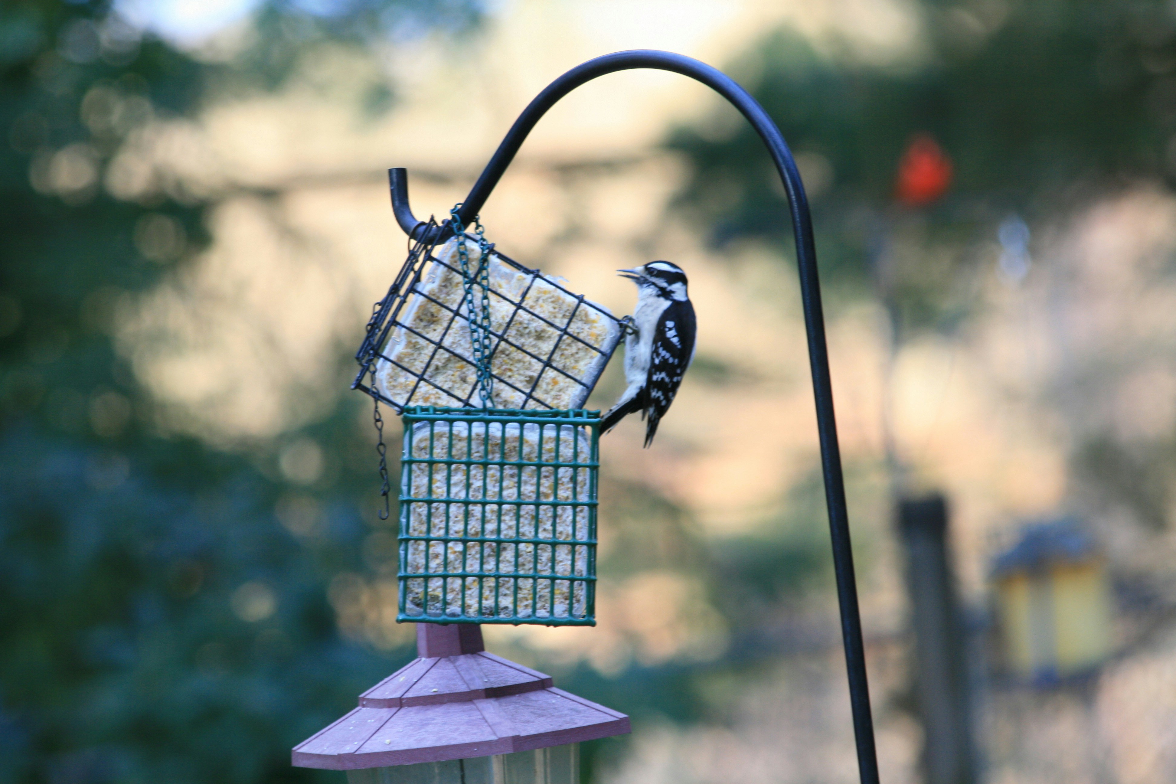 Photo by martinjg8891