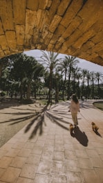 Volunteers walking dogs in a sunny, green sanctuary garden.