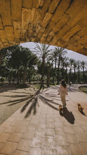 Residents walking dogs along a sunlit path surrounded by trees, sharing smiles and calm companionship.
