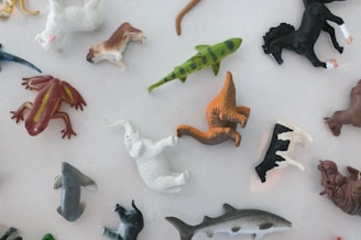 green orange and white fish toy