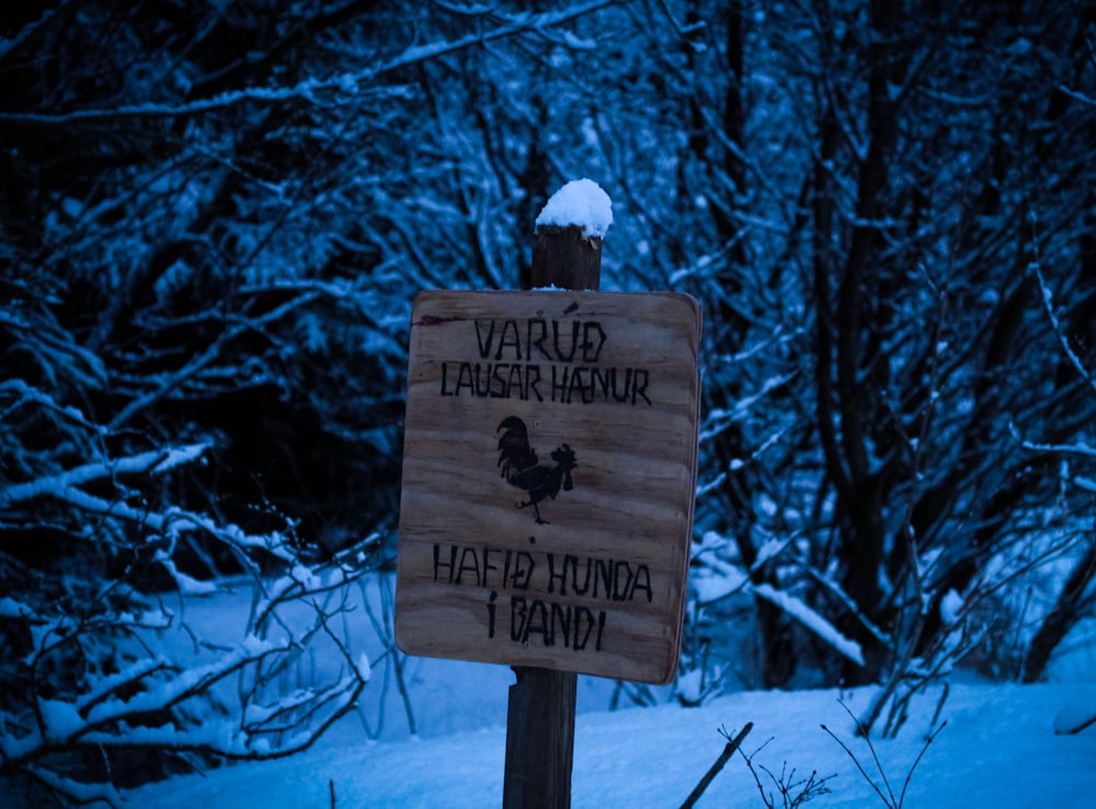 brown wooden signage with snow on top