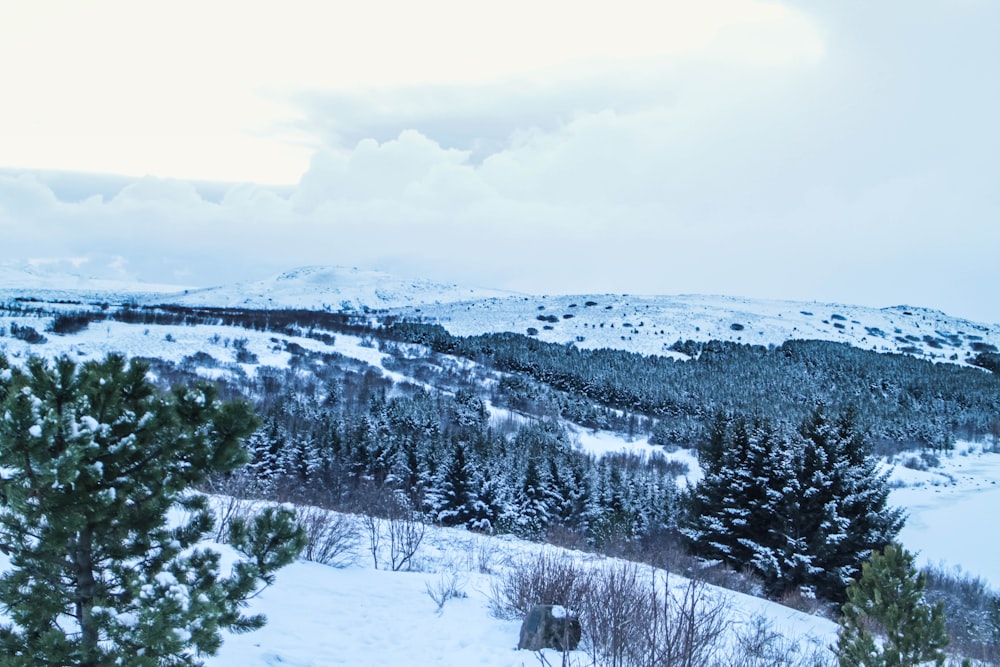 snow covered mountain under cloudy sky during daytime