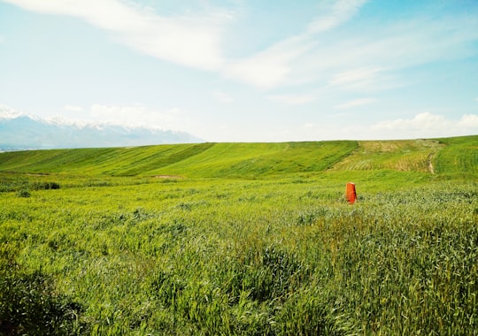 green grass field under blue sky during daytime in Lorestan Province Iran