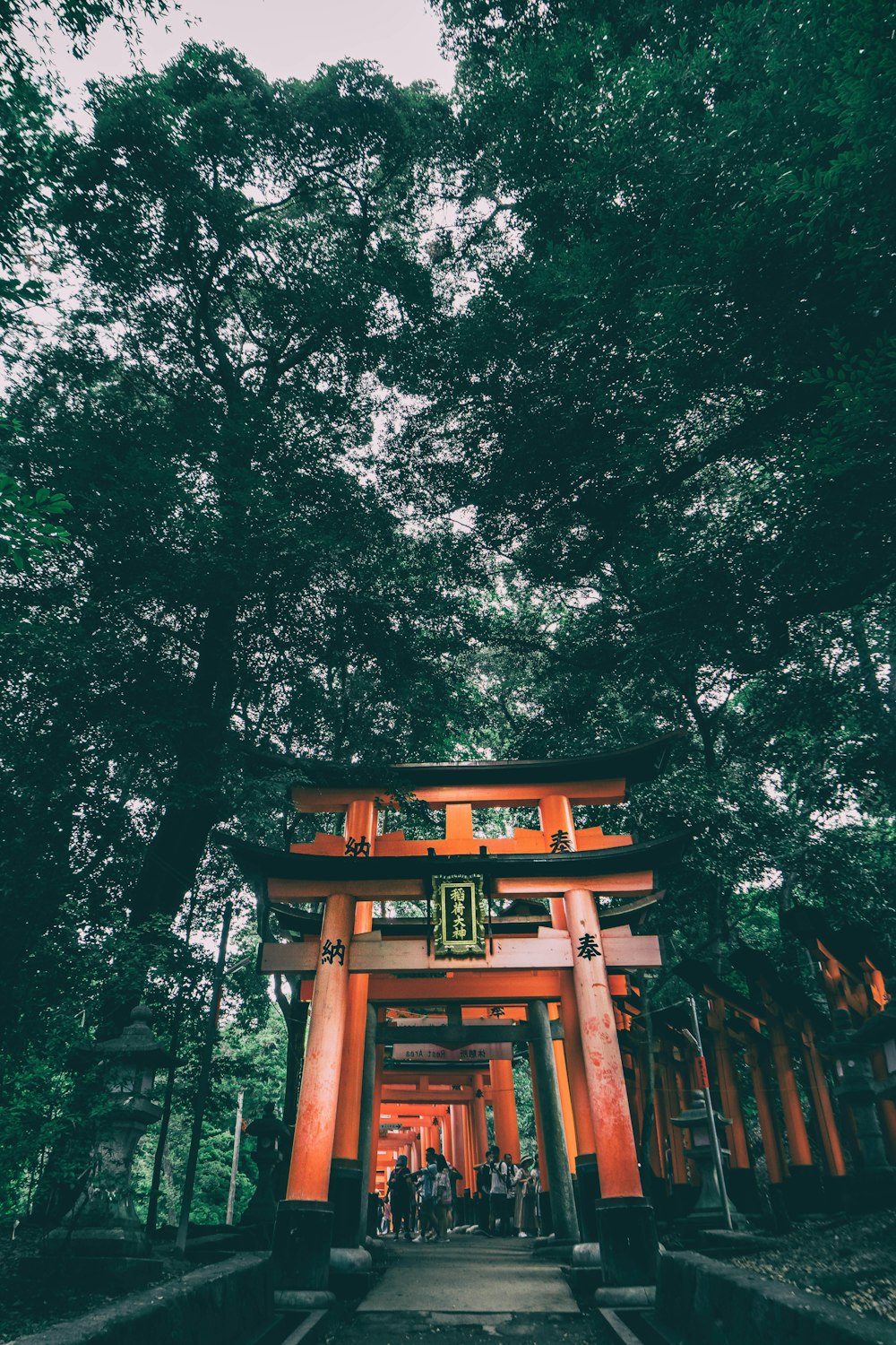 Una gran puerta naranja en medio de un bosque