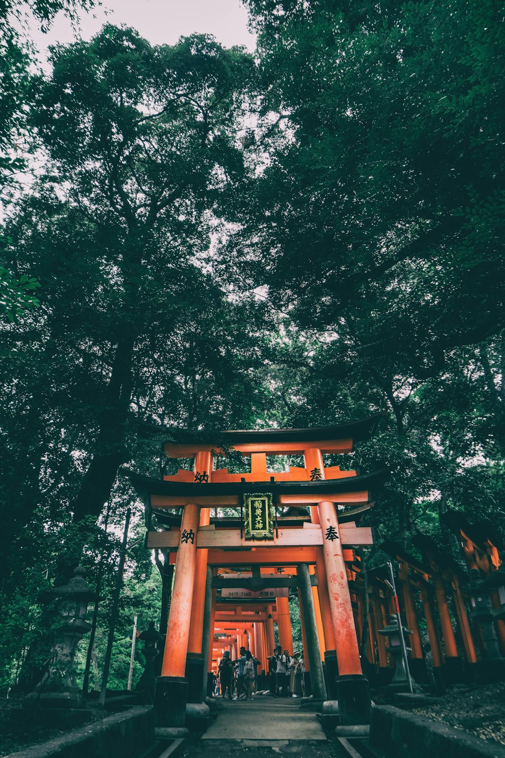 Une grande porte orange au milieu d’une forêt