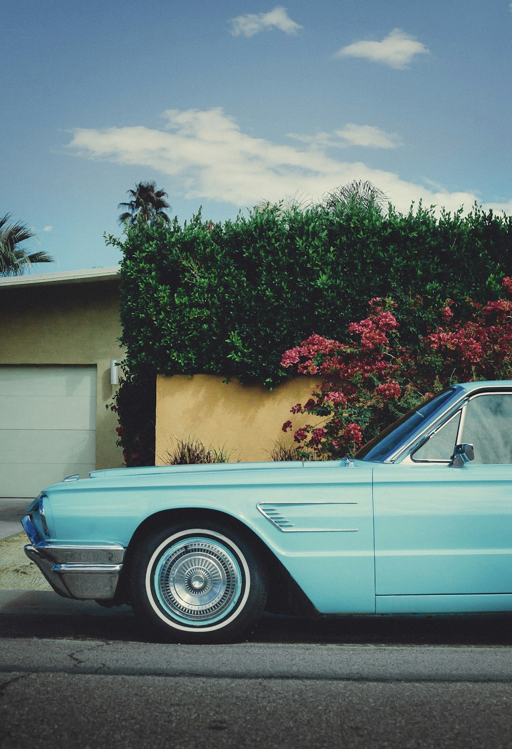 blue car parked beside green tree during daytime