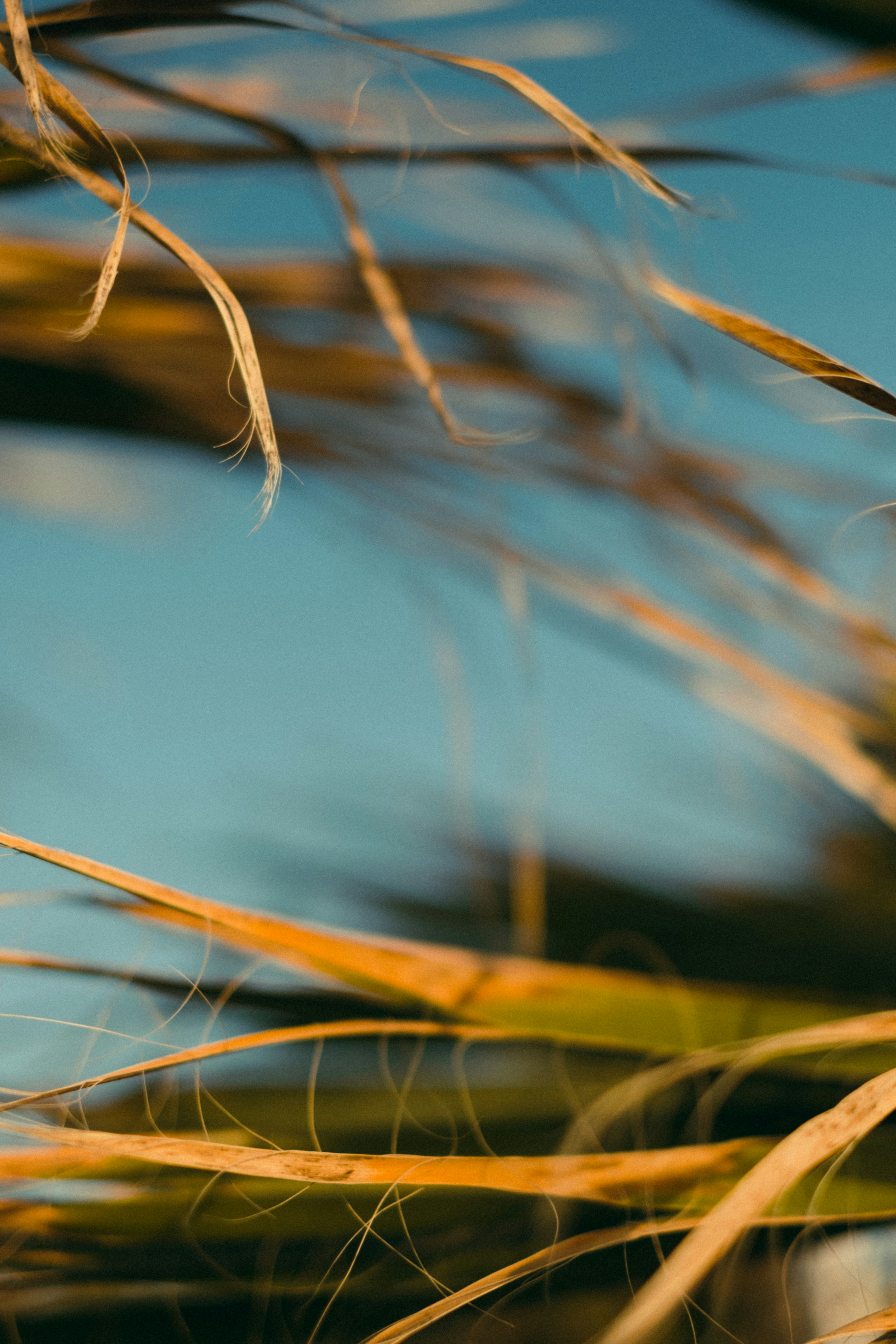 Photo by karengrigorean