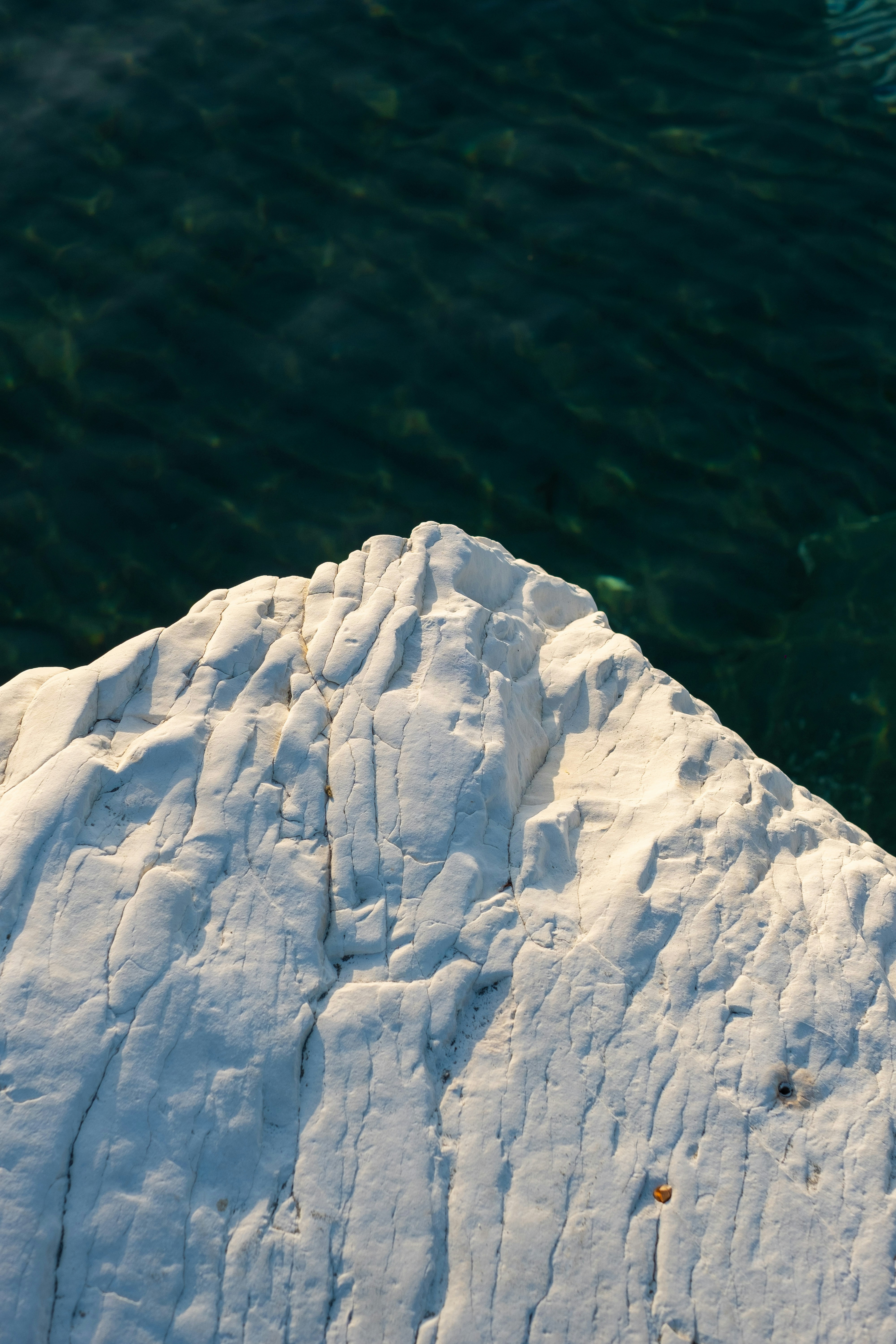 Photo by karengrigorean