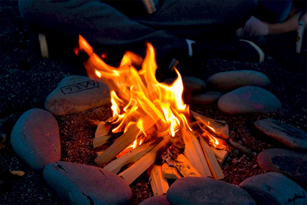 burning firewood on fire pit