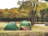 A scene of an outdoor camping setup featuring two green tents in a park surrounded by trees with autumn foliage. A red and black checkered blanket is spread on the ground between the tents, with picnic items on it. Fallen leaves cover the ground, and a fence can be seen in the background amidst the trees.